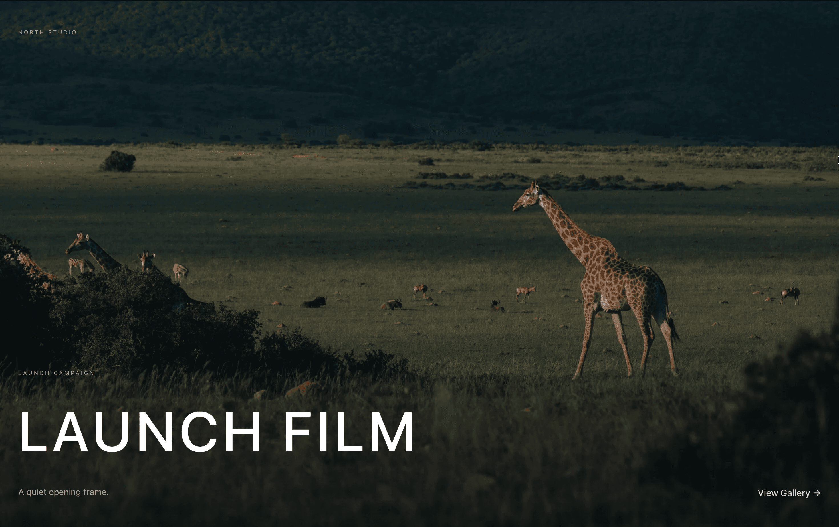 Cinematic