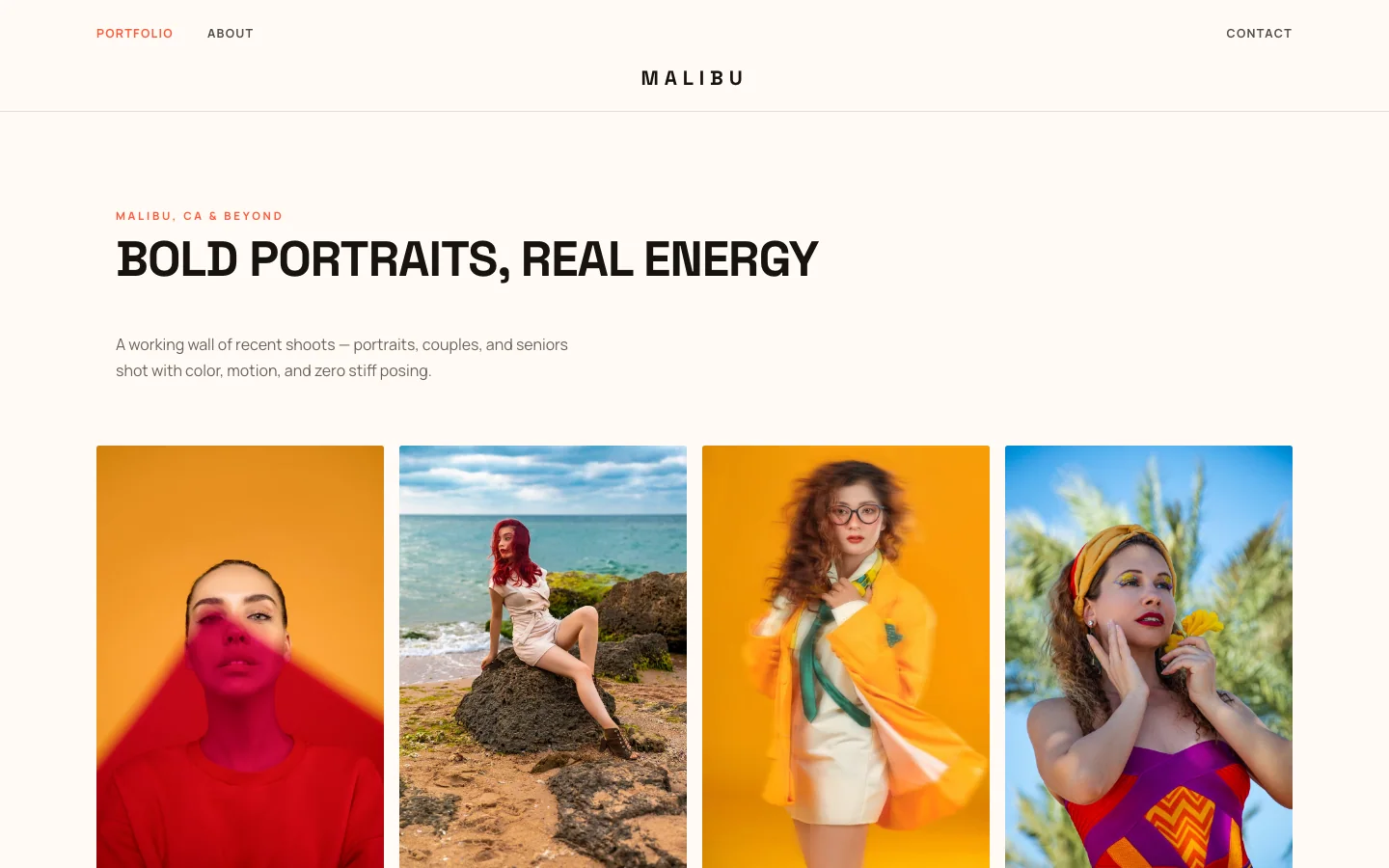 Malibu website template preview